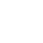 OptiConnect icon